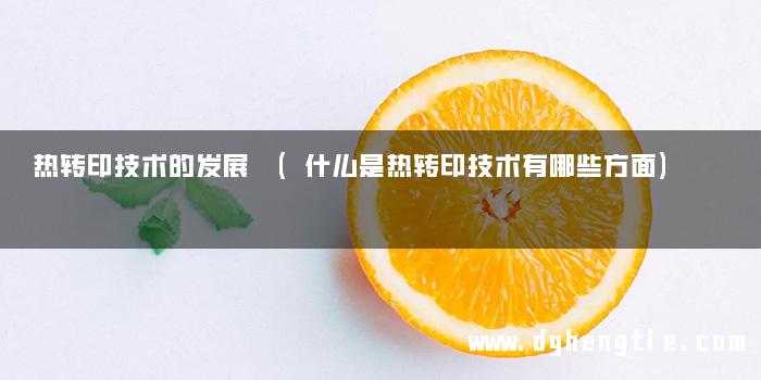 热转印技术的发展 (什么是热转印技术有哪些方面)